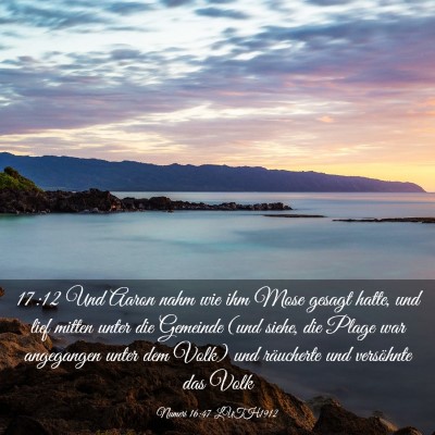 Picture 03 - Numeri 16:47 LUTH1912 - 17:12 Und Aaron nahm wie ihm Mose gesagt hatte, - Bible Verse Picture