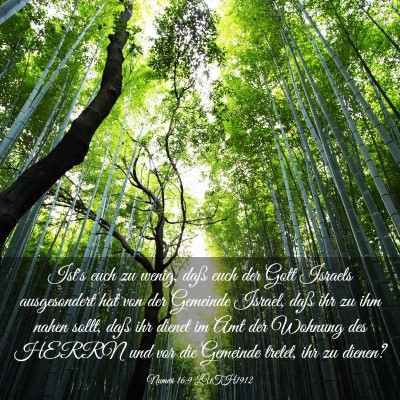 Picture 03 - Numeri 16:9 LUTH1912 - Ist's euch zu wenig, daß euch der Gott Israels - Bible Verse Picture