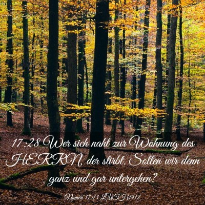 Picture 03 - Numeri 17:13 LUTH1912 - 17:28 Wer sich naht zur Wohnung des HERRN, der - Bible Verse Picture