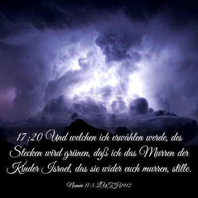 Picture 03 - Numeri 17:5 LUTH1912 - 17:20 Und welchen ich erwählen werde, des - Bible Verse Picture