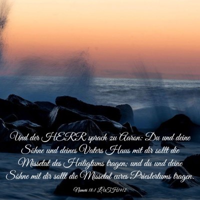 Picture 03 - Numeri 18:1 LUTH1912 - Und der HERR sprach zu Aaron: Du und deine Söhne - Bible Verse Picture
