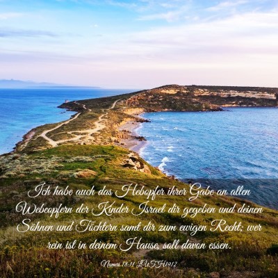 Picture 03 - Numeri 18:11 LUTH1912 - Ich habe auch das Hebopfer ihrer Gabe an allen - Bible Verse Picture