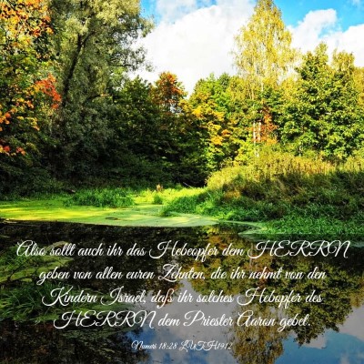 Picture 03 - Numeri 18:28 LUTH1912 - Also sollt auch ihr das Hebeopfer dem HERRN geben - Bible Verse Picture