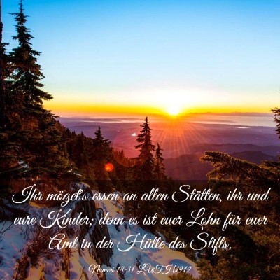 Picture 03 - Numeri 18:31 LUTH1912 - Ihr möget's essen an allen Stätten, ihr und - Bible Verse Picture