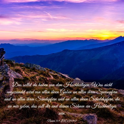 Picture 03 - Numeri 18:9 LUTH1912 - Das sollst du haben von dem Hochheiligen: Was - Bible Verse Picture