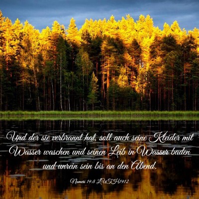 Picture 03 - Numeri 19:8 LUTH1912 - Und der sie verbrannt hat, soll auch seine - Bible Verse Picture