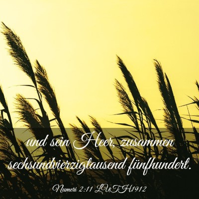 Picture 03 - Numeri 2:11 LUTH1912 - und sein Heer, zusammen sechsundvierzigtausend - Bible Verse Picture