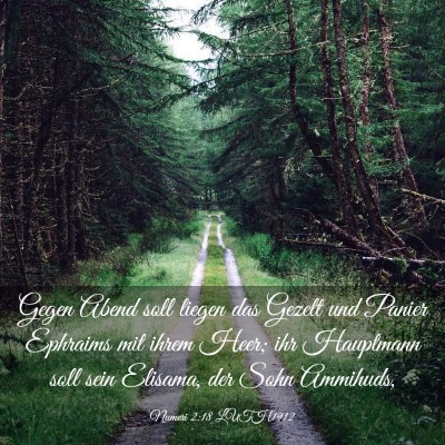 Picture 03 - Numeri 2:18 LUTH1912 - Gegen Abend soll liegen das Gezelt und Panier - Bible Verse Picture