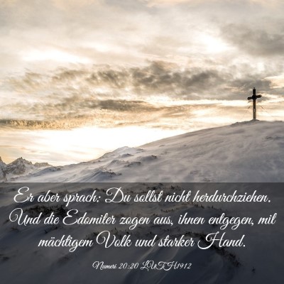 Picture 03 - Numeri 20:20 LUTH1912 - Er aber sprach: Du sollst nicht herdurchziehen. - Bible Verse Picture
