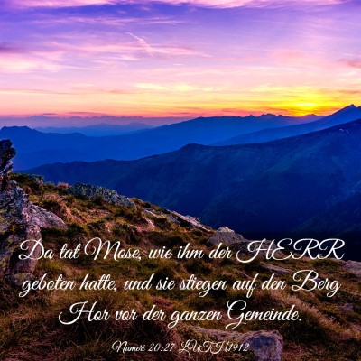Picture 03 - Numeri 20:27 LUTH1912 - Da tat Mose, wie ihm der HERR geboten hatte, und - Bible Verse Picture