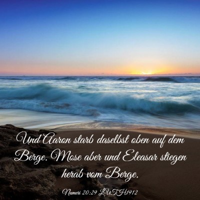 Picture 03 - Numeri 20:29 LUTH1912 - Und Aaron starb daselbst oben auf dem Berge. Mose - Bible Verse Picture