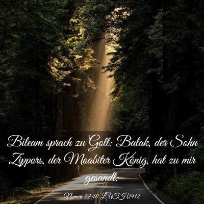 Picture 03 - Numeri 22:10 LUTH1912 - Bileam sprach zu Gott: Balak, der Sohn Zippors, - Bible Verse Picture