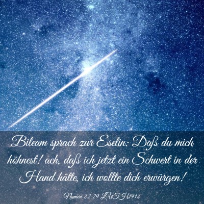 Picture 03 - Numeri 22:29 LUTH1912 - Bileam sprach zur Eselin: Daß du mich höhnest! - Bible Verse Picture
