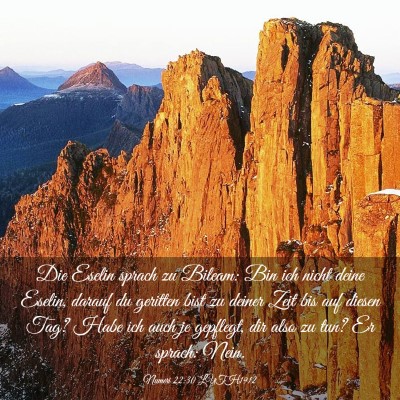 Picture 03 - Numeri 22:30 LUTH1912 - Die Eselin sprach zu Bileam: Bin ich nicht deine - Bible Verse Picture
