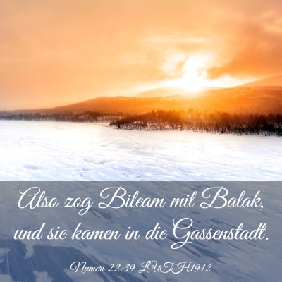 Picture 03 - Numeri 22:39 LUTH1912 - Also zog Bileam mit Balak, und sie kamen in die - Bible Verse Picture