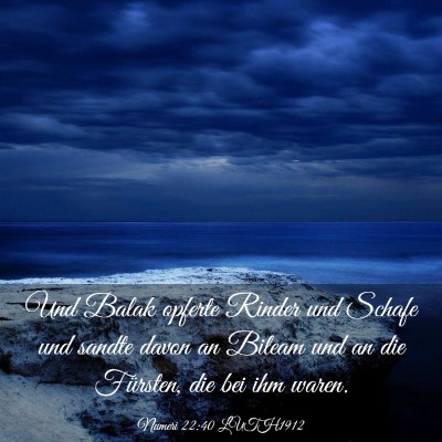Picture 03 - Numeri 22:40 LUTH1912 - Und Balak opferte Rinder und Schafe und sandte - Bible Verse Picture