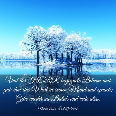 Picture 03 - Numeri 23:16 LUTH1912 - Und der HERR begegnete Bileam und gab ihm das - Bible Verse Picture