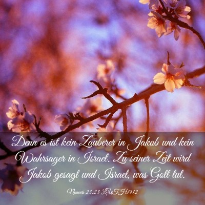 Picture 03 - Numeri 23:23 LUTH1912 - Denn es ist kein Zauberer in Jakob und kein - Bible Verse Picture
