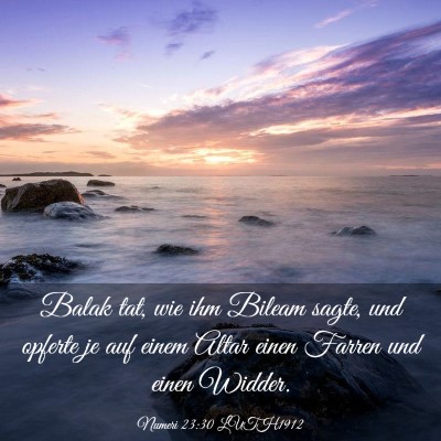 Picture 03 - Numeri 23:30 LUTH1912 - Balak tat, wie ihm Bileam sagte, und opferte je - Bible Verse Picture