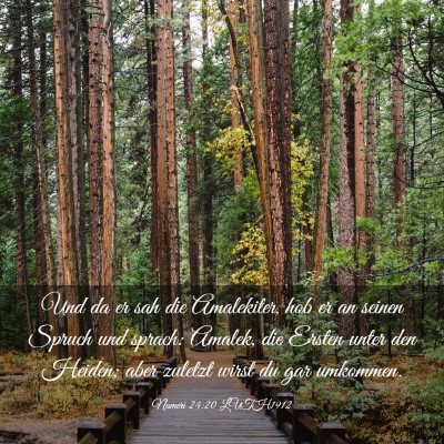 Picture 03 - Numeri 24:20 LUTH1912 - Und da er sah die Amalekiter, hob er an seinen - Bible Verse Picture