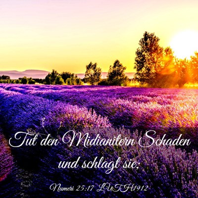 Picture 03 - Numeri 25:17 LUTH1912 - Tut den Midianitern Schaden und schlagt - Bible Verse Picture