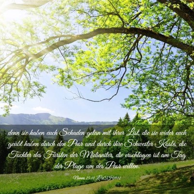 Picture 03 - Numeri 25:18 LUTH1912 - denn sie haben euch Schaden getan mit ihrer List, - Bible Verse Picture