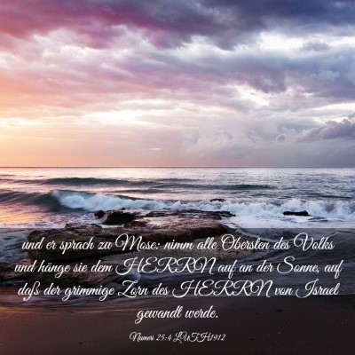 Picture 03 - Numeri 25:4 LUTH1912 - und er sprach zu Mose: nimm alle Obersten des - Bible Verse Picture