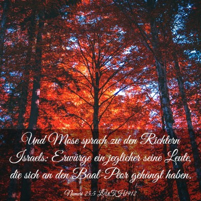 Picture 03 - Numeri 25:5 LUTH1912 - Und Mose sprach zu den Richtern Israels: Erwürge - Bible Verse Picture