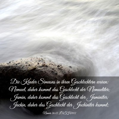 Picture 03 - Numeri 26:12 LUTH1912 - Die Kinder Simeons in ihren Geschlechtern waren: - Bible Verse Picture