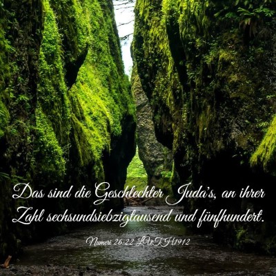 Picture 03 - Numeri 26:22 LUTH1912 - Das sind die Geschlechter Juda's, an ihrer Zahl - Bible Verse Picture