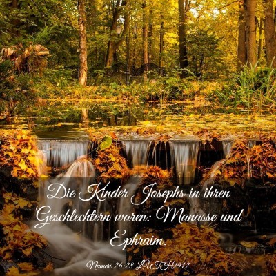 Picture 03 - Numeri 26:28 LUTH1912 - Die Kinder Josephs in ihren Geschlechtern waren: - Bible Verse Picture