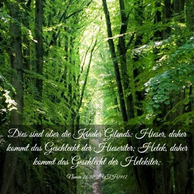 Picture 03 - Numeri 26:30 LUTH1912 - Dies sind aber die Kinder Gileads: Hieser, daher - Bible Verse Picture