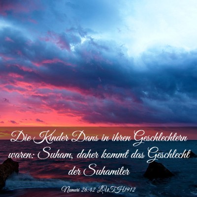 Picture 03 - Numeri 26:42 LUTH1912 - Die Kinder Dans in ihren Geschlechtern waren: - Bible Verse Picture