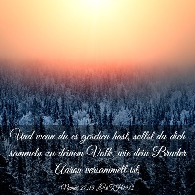 Picture 03 - Numeri 27:13 LUTH1912 - Und wenn du es gesehen hast, sollst du dich - Bible Verse Picture