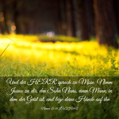Picture 03 - Numeri 27:18 LUTH1912 - Und der HERR sprach zu Mose: Nimm Josua zu dir, - Bible Verse Picture