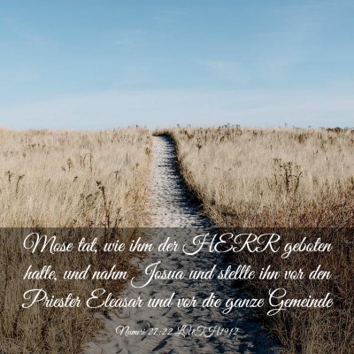 Picture 03 - Numeri 27:22 LUTH1912 - Mose tat, wie ihm der HERR geboten hatte, und - Bible Verse Picture