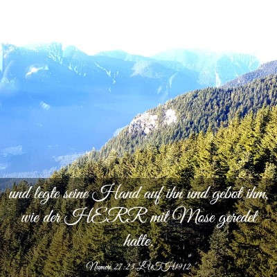 Picture 03 - Numeri 27:23 LUTH1912 - und legte seine Hand auf ihn und gebot ihm, wie - Bible Verse Picture