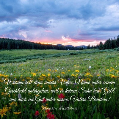 Picture 03 - Numeri 27:4 LUTH1912 - Warum soll denn unsers Vaters Name unter seinem - Bible Verse Picture