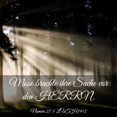 Picture 03 - Numeri 27:5 LUTH1912 - Mose brachte ihre Sache vor den - Bible Verse Picture