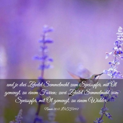 Picture 03 - Numeri 28:12 LUTH1912 - und je drei Zehntel Semmelmehl zum Speisopfer, - Bible Verse Picture
