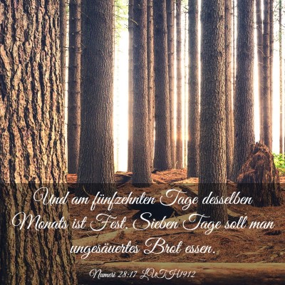 Picture 03 - Numeri 28:17 LUTH1912 - Und am fünfzehnten Tage desselben Monats ist - Bible Verse Picture