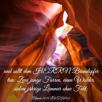 Picture 03 - Numeri 28:19 LUTH1912 - und sollt dem HERRN Brandopfer tun: Zwei junge - Bible Verse Picture