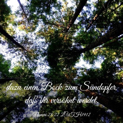 Picture 03 - Numeri 28:22 LUTH1912 - dazu einen Bock zum Sündopfer, daß ihr - Bible Verse Picture