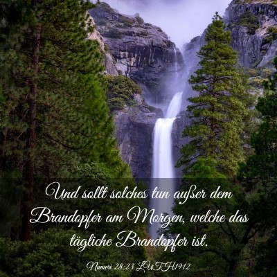 Picture 03 - Numeri 28:23 LUTH1912 - Und sollt solches tun außer dem Brandopfer am - Bible Verse Picture