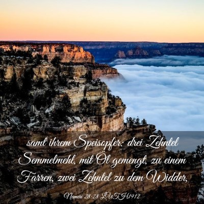 Picture 03 - Numeri 28:28 LUTH1912 - samt ihrem Speisopfer: drei Zehntel Semmelmehl, - Bible Verse Picture