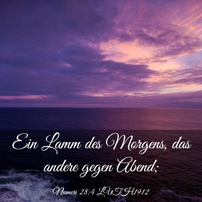 Picture 03 - Numeri 28:4 LUTH1912 - Ein Lamm des Morgens, das andere gegen - Bible Verse Picture