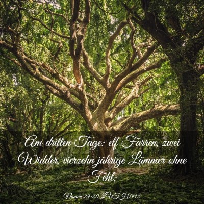 Picture 03 - Numeri 29:20 LUTH1912 - Am dritten Tage: elf Farren, zwei Widder, - Bible Verse Picture