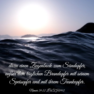 Picture 03 - Numeri 29:22 LUTH1912 - dazu einen Ziegenbock zum Sündopfer, außer dem - Bible Verse Picture