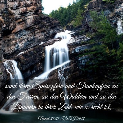 Picture 03 - Numeri 29:27 LUTH1912 - samt ihren Speisopfern und Trankopfern zu den - Bible Verse Picture