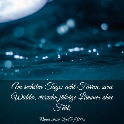 Picture 03 - Numeri 29:29 LUTH1912 - Am sechsten Tage: acht Farren, zwei Widder, - Bible Verse Picture